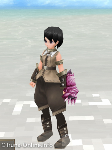 item_image_Grim Shield