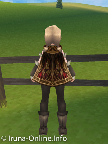 item_image_Luxe Cloak