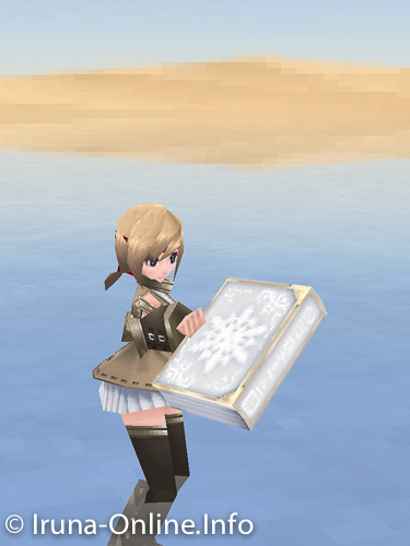 item_image_Saint's Scripture