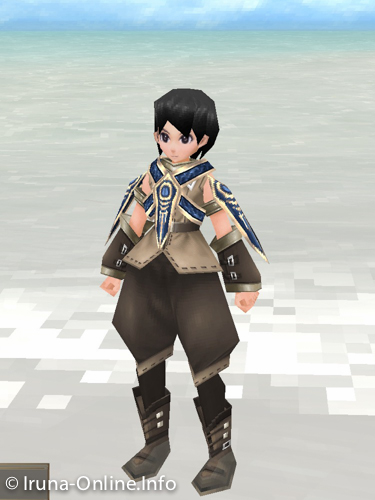 item_image_Sector Plaster (Strengthened 1)