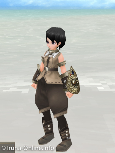 item_image_Zweig Shield (Strengthened 1)